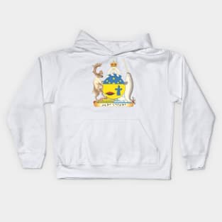 Vintage Distressed Coat of arms of Nunavut Canada Kids Hoodie